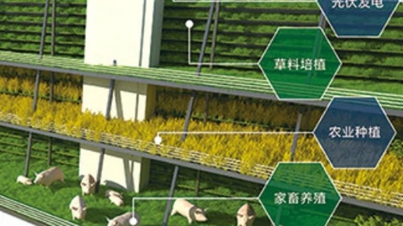 河南農(nóng)資廠家復(fù)合肥，揭秘其核心參數(shù)與選擇之道**