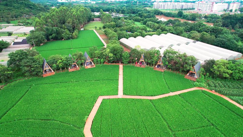 連棟溫室建設(shè)：如何精準(zhǔn)把握每平米成本**