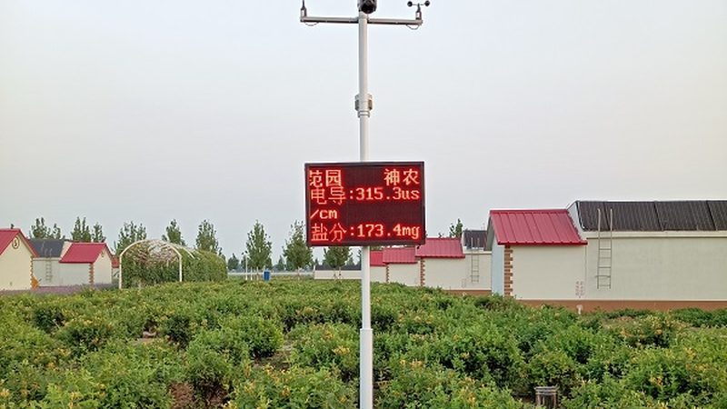 冷鏈生鮮配送中心建設(shè)要求：構(gòu)建高效物流保障