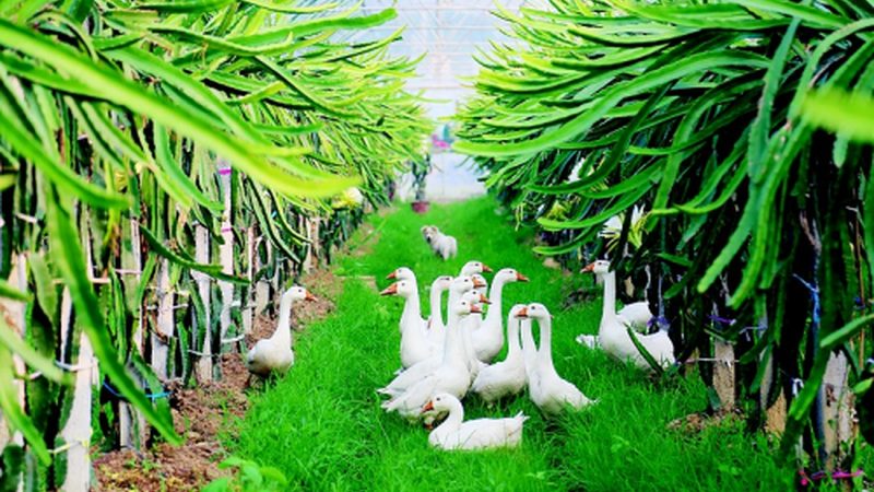 生鮮配送小程序開(kāi)發(fā)的五大關(guān)鍵注意事項(xiàng)